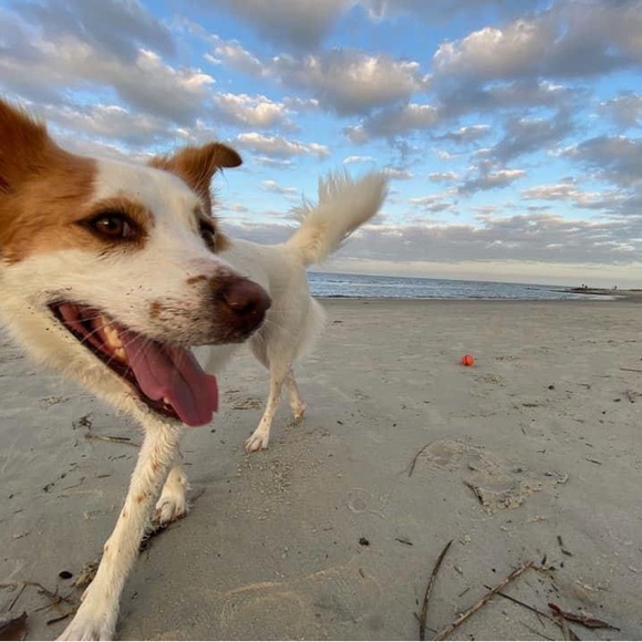 Meet your Posher, Taylor - Picture 2 of 5